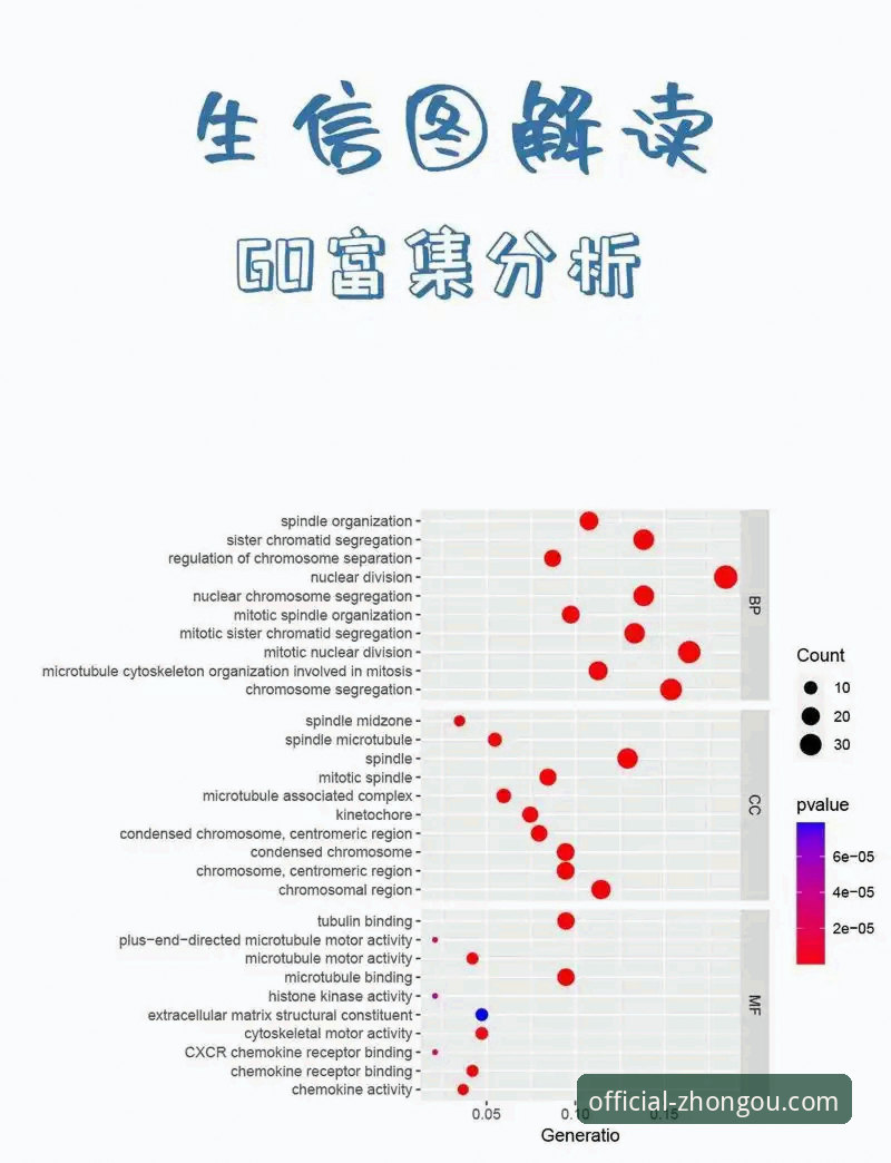 中欧独特优势 中欧独特优势的深度分析:从用户权益到数据安全的全面解析